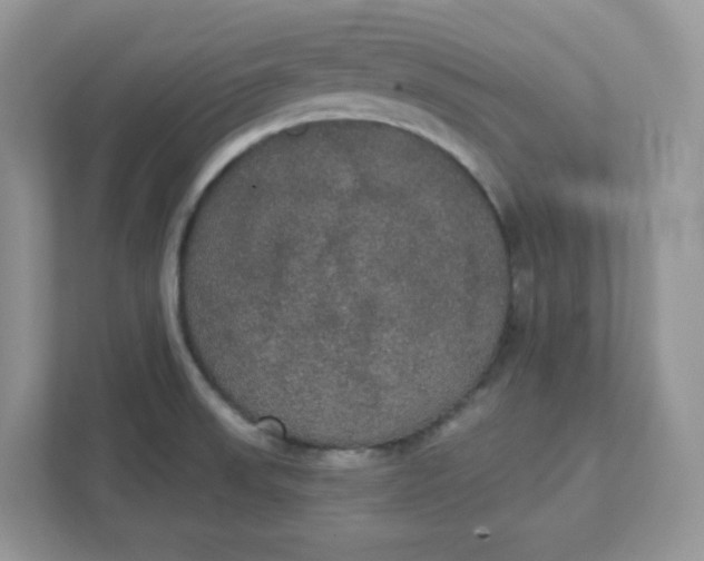 X0000111421523200907271132