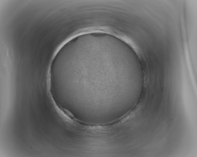 X0000111421524200907271132