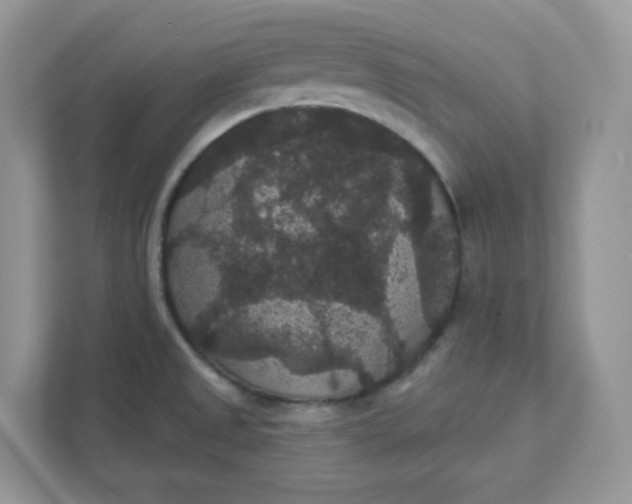 X0000111421525200907271132