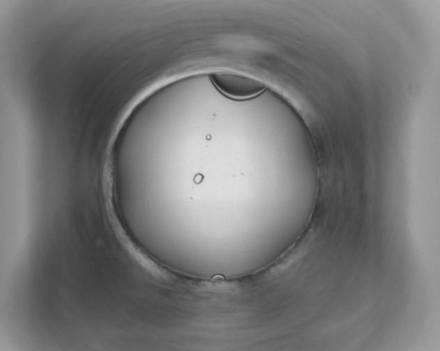 X0000111421526200907271132