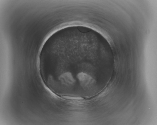 X0000111421527200907271132