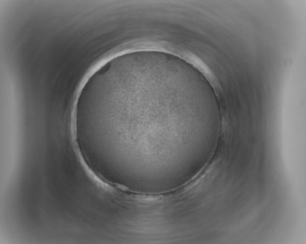 X0000111421528200907271132