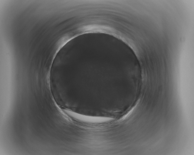 X0000111421529200907271132