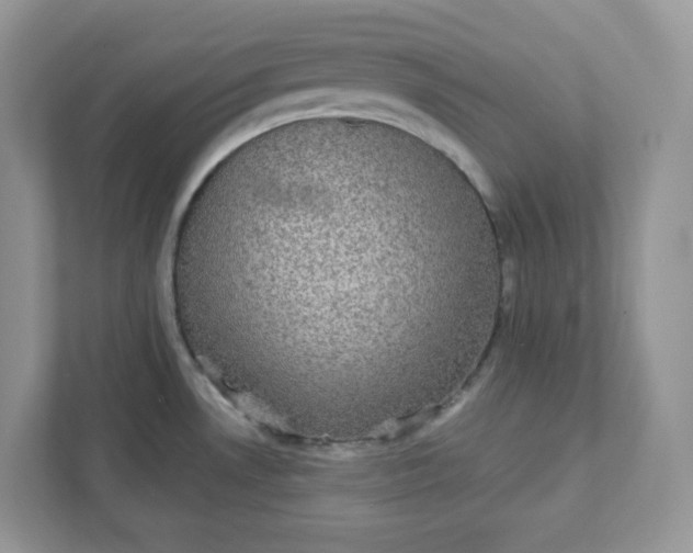 X0000111421530200907271132