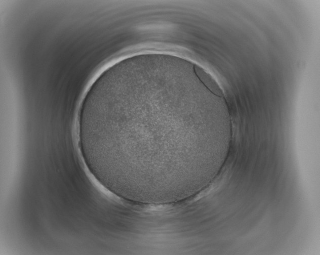 X0000111421531200907271132