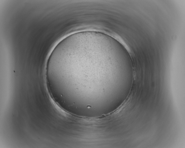 X0000111421532200907271132