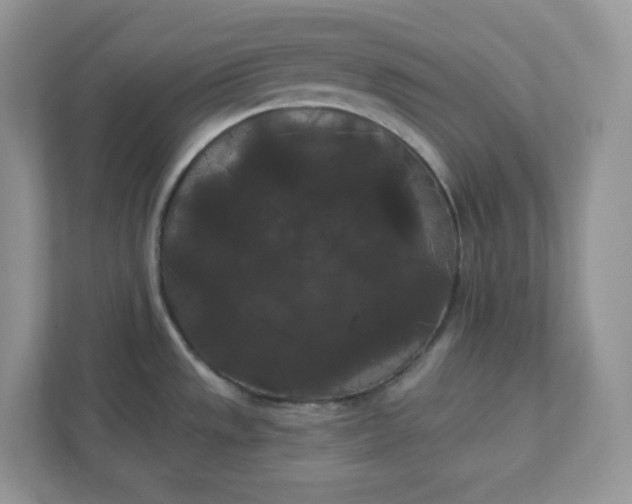 X0000111421533200907271132