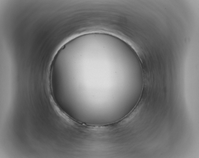 X0000111421534200907271132