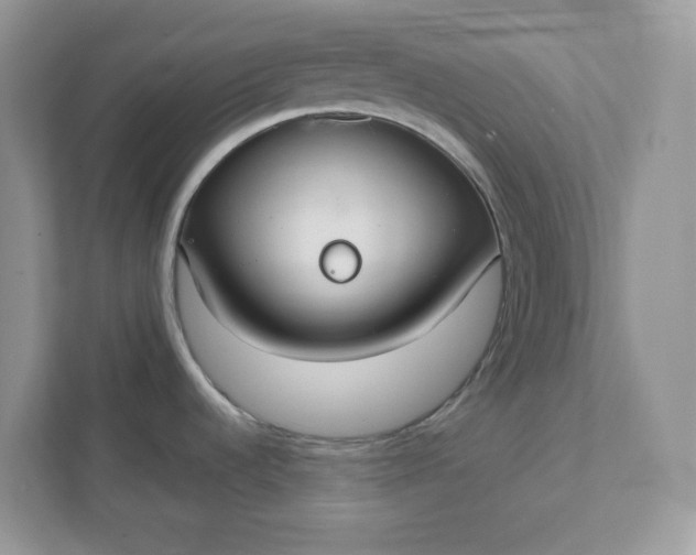 X0000111421536200907271133