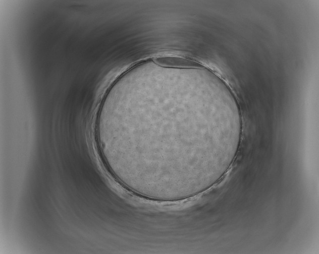 X0000111420001200908031314