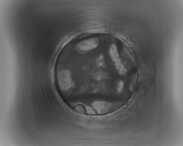 X0000111420002200908031314
