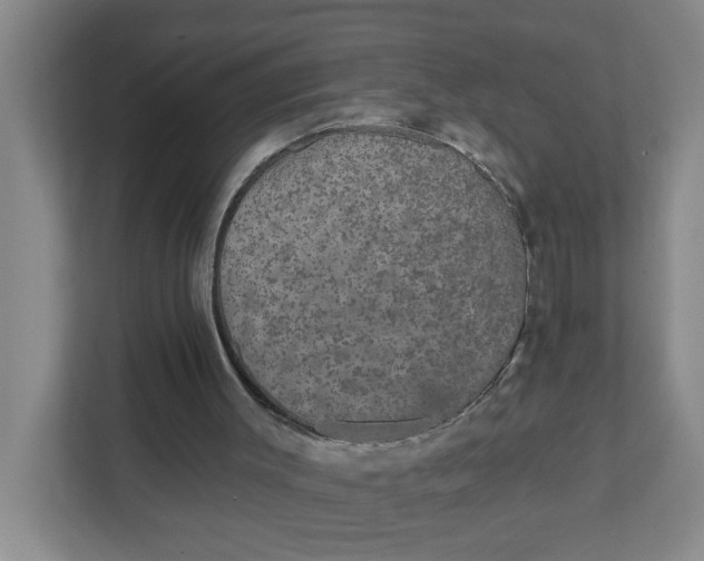 X0000111420003200908031314