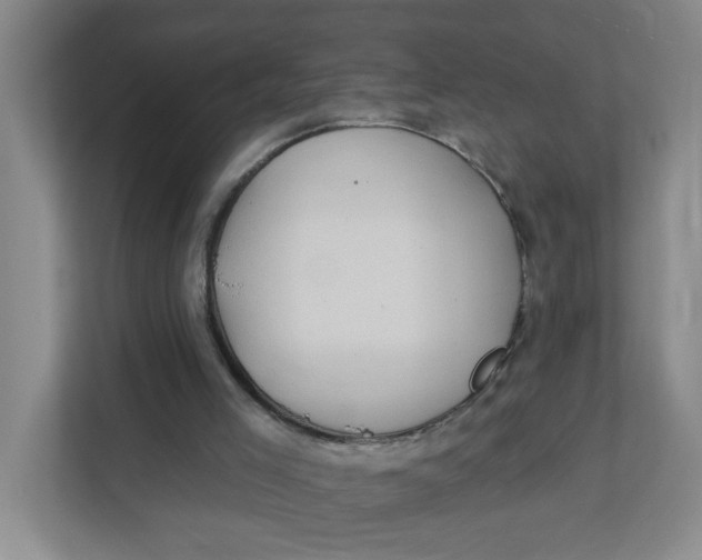 X0000111420005200908031314