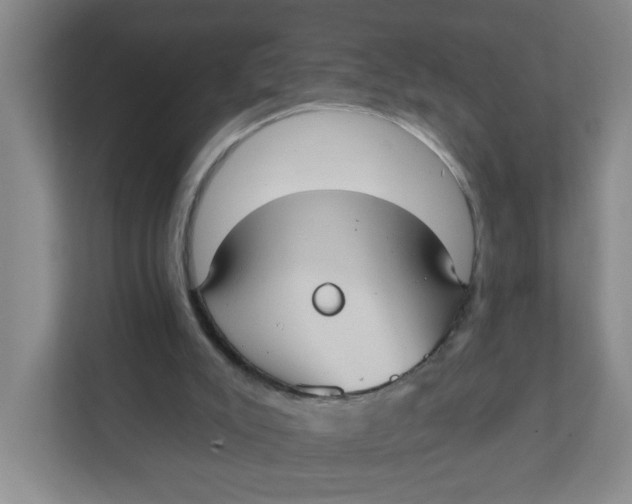 X0000111420007200908031314