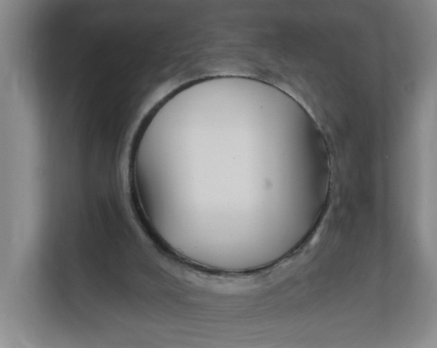 X0000111420008200908031314