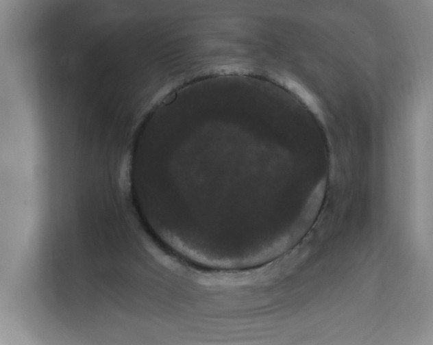 X0000111420009200908031314