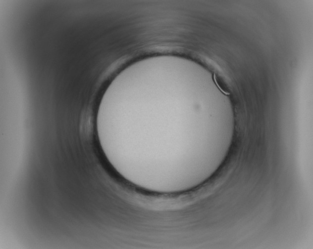 X0000111420016200908031314
