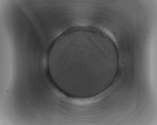 X0000111420017200908031314