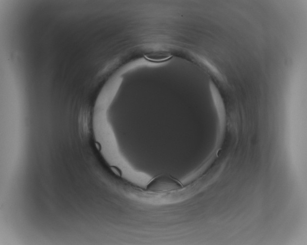 X0000111420023200908031314