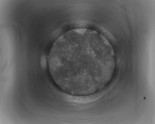 X0000111420026200908031314