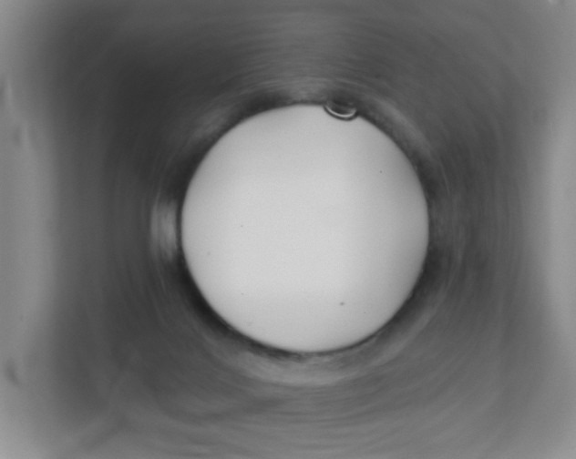 X0000111420028200908031314