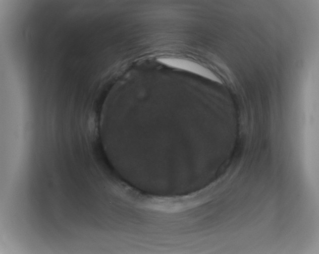 X0000111420029200908031314