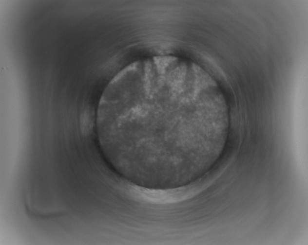 X0000111420030200908031314