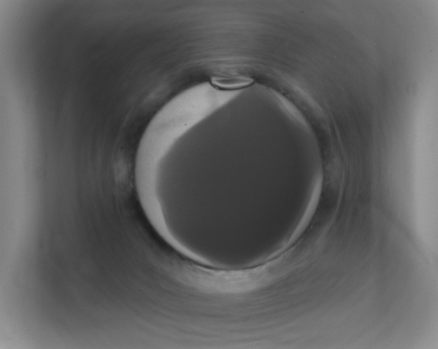 X0000111420031200908031314
