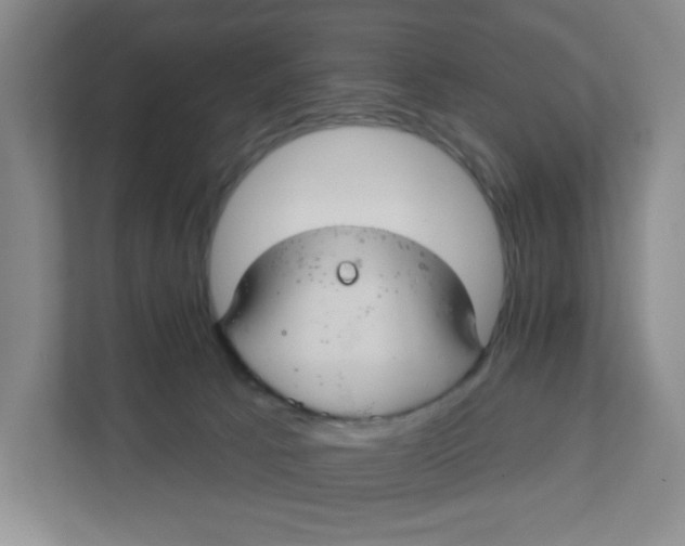 X0000111420033200908031314
