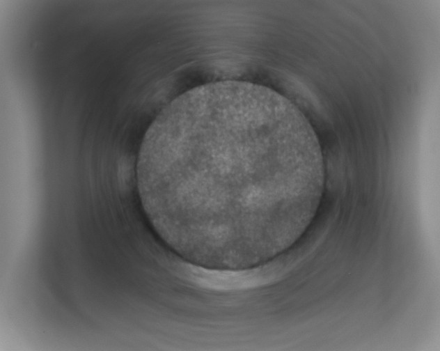 X0000111420034200908031314