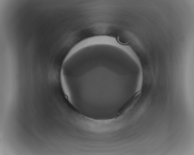X0000111420035200908031314
