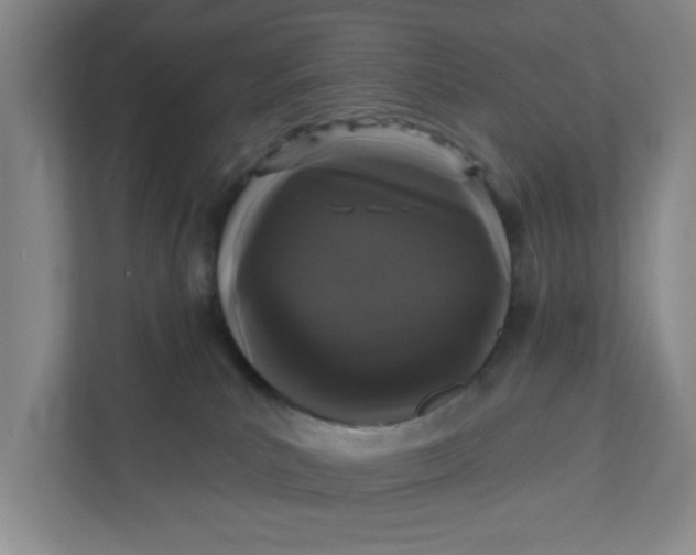 X0000111420039200908031314