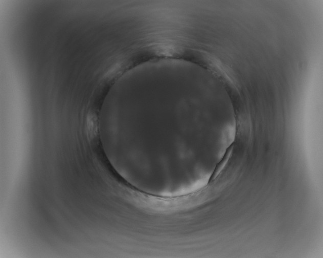 X0000111420043200908031314