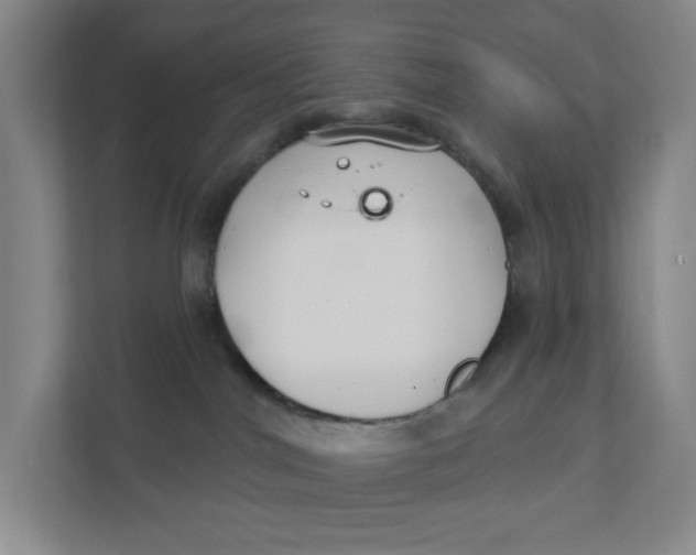 X0000111420044200908031314