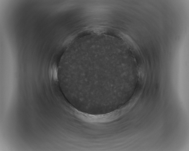 X0000111420046200908031313