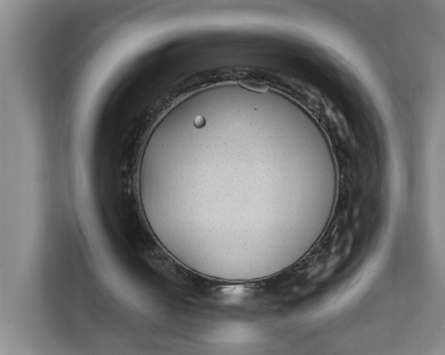 X0000111420050200908031313