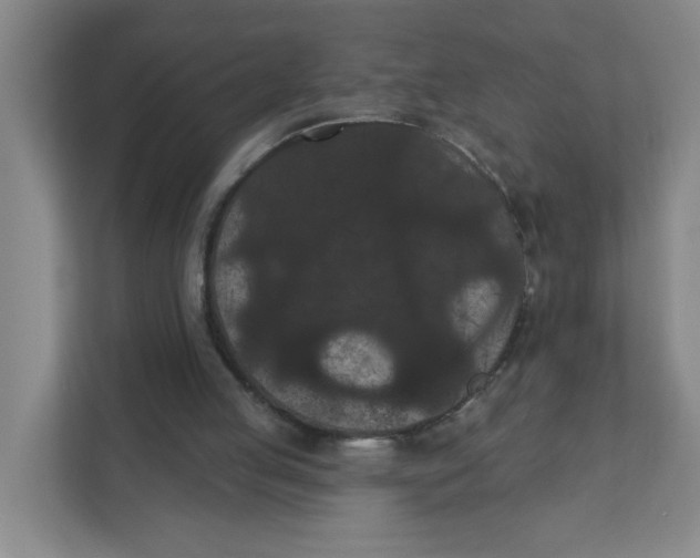 X0000111420053200908031313