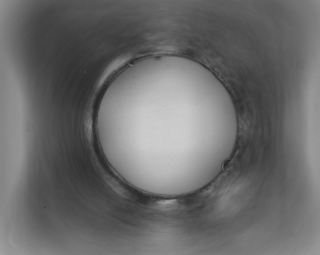 X0000111420054200908031313