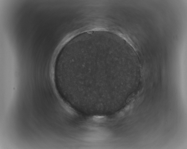 X0000111420055200908031313