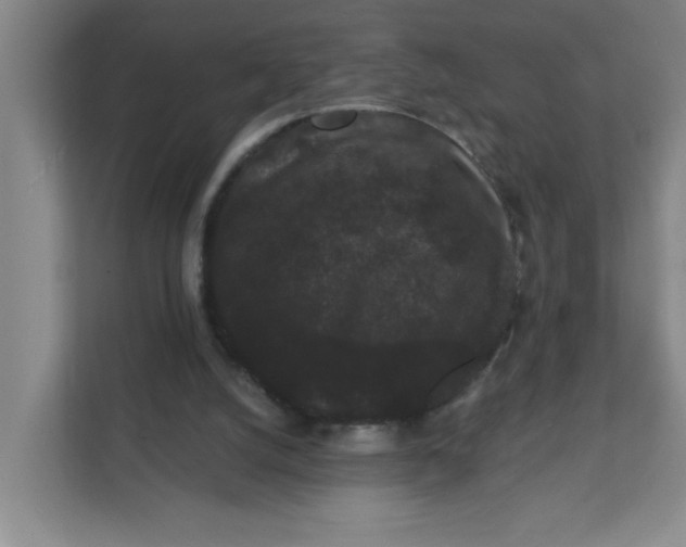 X0000111420056200908031313