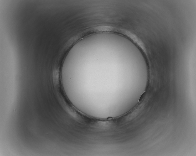 X0000111420057200908031313