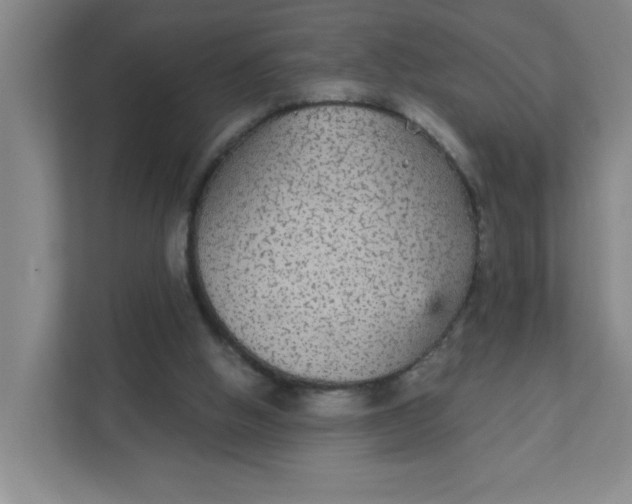X0000111420058200908031313