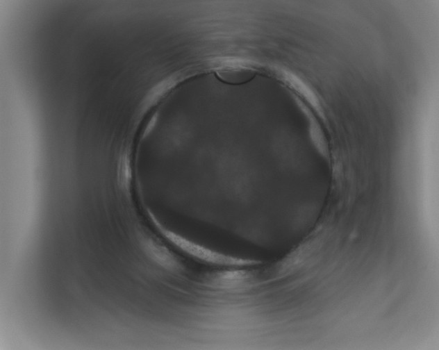 X0000111420059200908031313