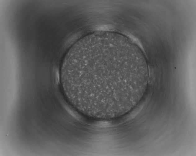 X0000111420061200908031313