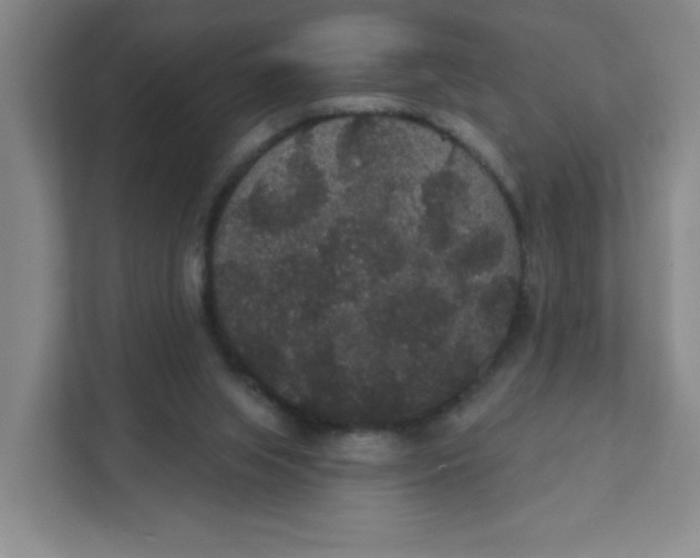 X0000111420063200908031313