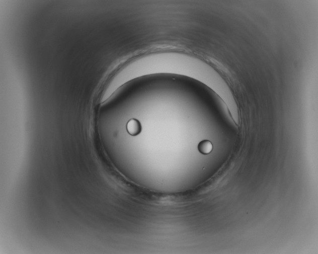 X0000111420064200908031313