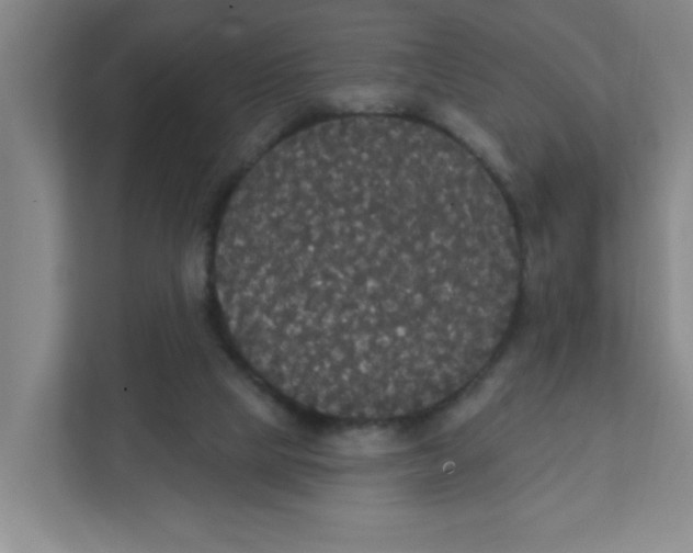 X0000111420065200908031313