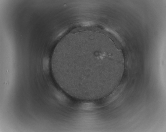 X0000111420066200908031313