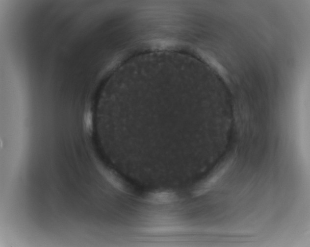 X0000111420067200908031313