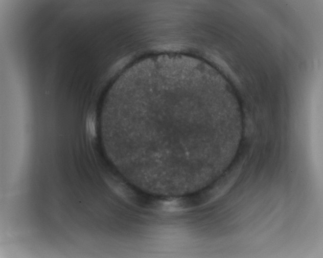 X0000111420068200908031313